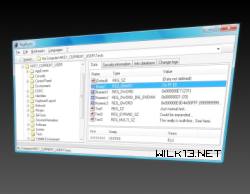 RegAlyzer registry screenshot