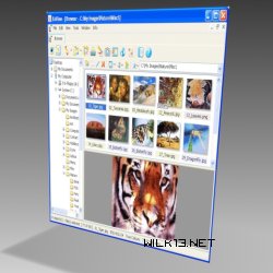 XnView screenshot